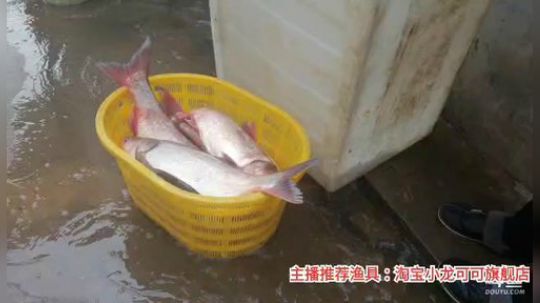 十一郎君01发布了一个斗鱼视频2020-02-29