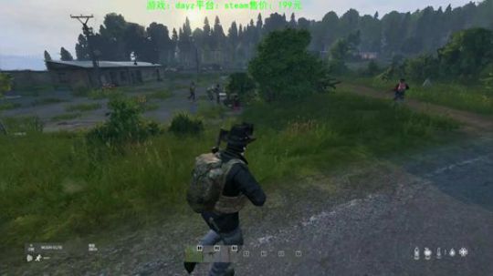 dayz今天也是值得过的一天 2020-02-29 22点场