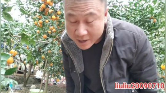 科头溜子发布了一个斗鱼视频2020-03-01