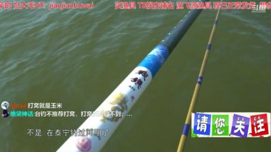 我在斗鱼看贱贱钓鱼直播乡野