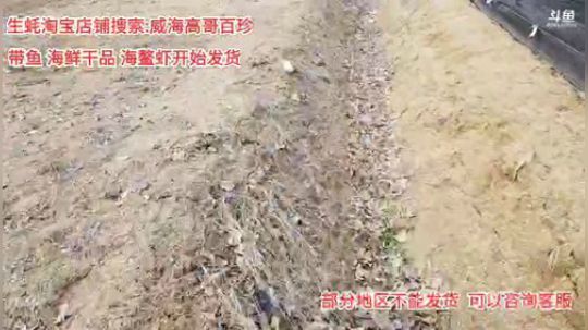 龙马精神丶老狼哥发布了一个斗鱼视频2020-03-01