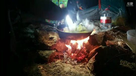 户外遛狗王飞哥发布了一个斗鱼视频2020-03-01