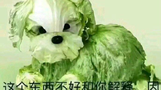 呼伦贝尔对双鸭山