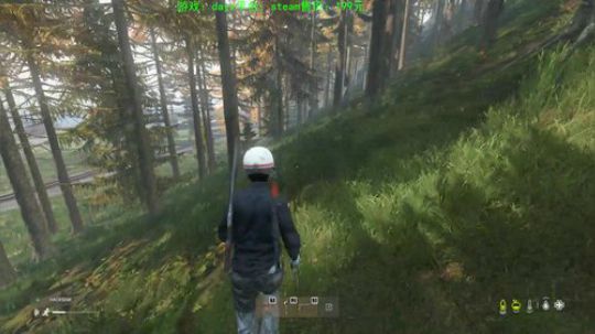 dayz今天也是值得过的一天 2020-02-29 16点场