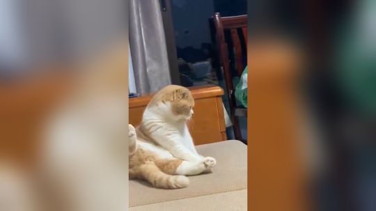 他这样5分钟了....