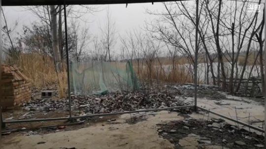 科头溜子发布了一个斗鱼视频2020-03-02