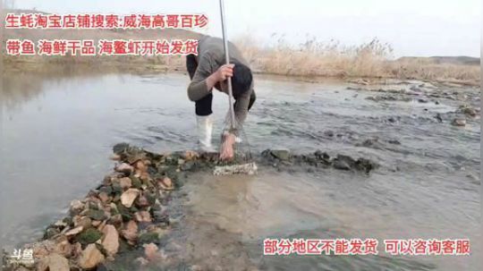 科头溜子发布了一个斗鱼视频2020-03-02