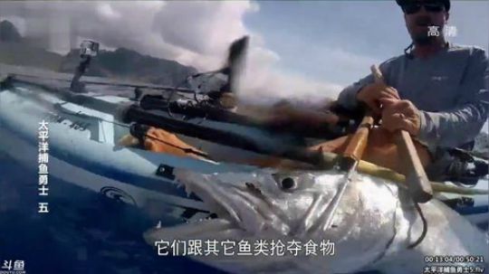 静思世语发布了一个斗鱼视频2020-03-02