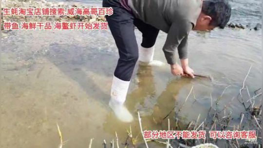 西北老狼哥哥发布了一个斗鱼视频2020-03-02