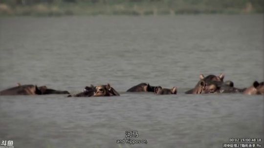 静思世语发布了一个斗鱼视频2020-03-02