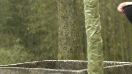 我在斗鱼看野食小哥直播美食