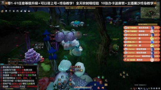 黑色沙漠【台服】 萌新教学 2020-02-27 14点场
