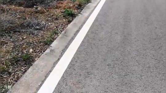 宜昌天街罗马直播间 2020-03-04 12点场