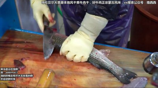 哆啦爱梦梦发布了一个斗鱼视频2020-03-04