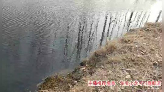 十一郎君01发布了一个斗鱼视频2020-03-05
