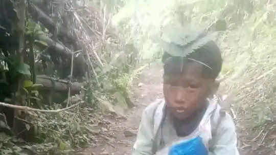 曲木为直终必弯，养狼当犬看家难，
墨染鸬鹚黑不久，粉刷乌鸦白