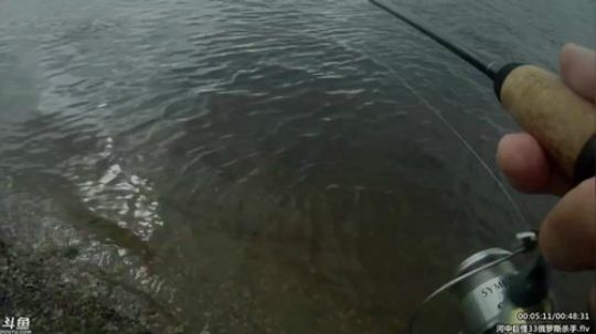 静思世语发布了一个斗鱼视频2020-03-05