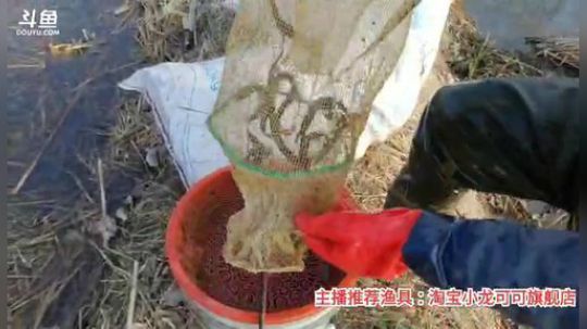 十一郎君01发布了一个斗鱼视频2020-03-05