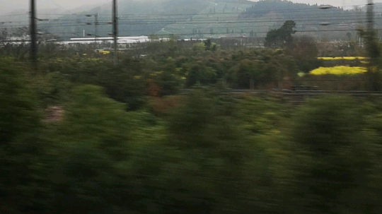 大好河山