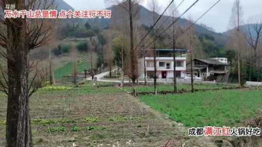 天天都是好心情(≧ω≦)/ 2020-03-06 14点场