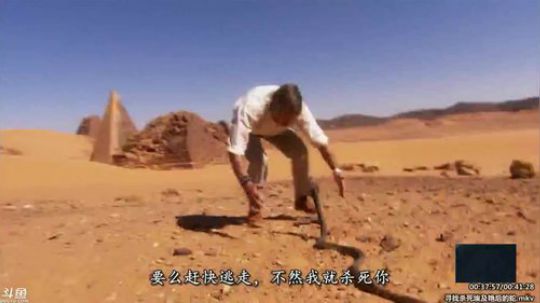 户外遛狗王飞哥发布了一个斗鱼视频2020-03-07