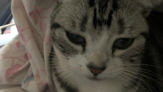 九折水瓶？球球队友憋送了