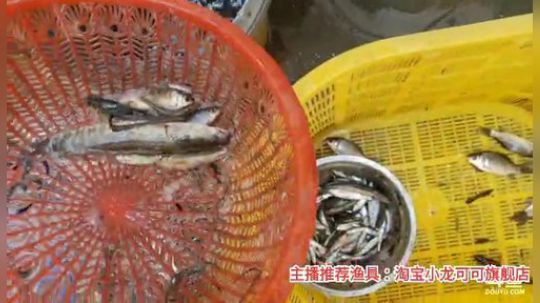 十一郎君01发布了一个斗鱼视频2020-03-07