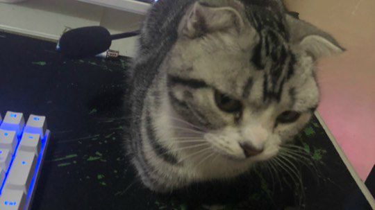 奥里给？！！！！！