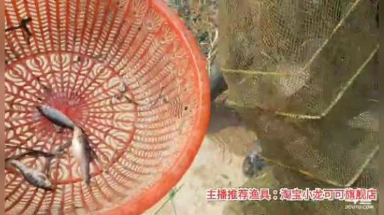 十一郎君01发布了一个斗鱼视频2020-03-07