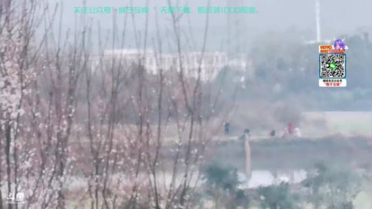 肖淑洁生命中的光和盐发布了一个斗鱼视频2020-03-07
