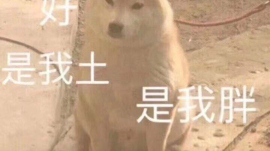 肝鸟人惹 没金光