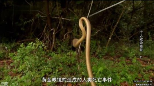 静思世语发布了一个斗鱼视频2020-03-07