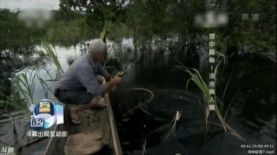 户外遛狗王飞哥发布了一个斗鱼视频2020-03-08