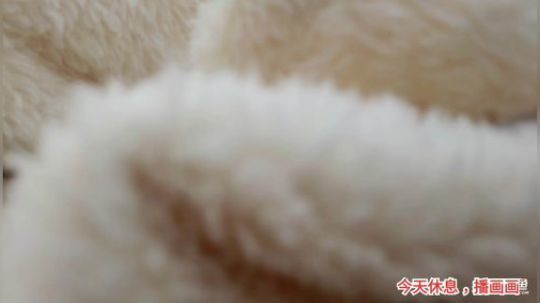 miwu1985发布了一个斗鱼视频2020-03-08