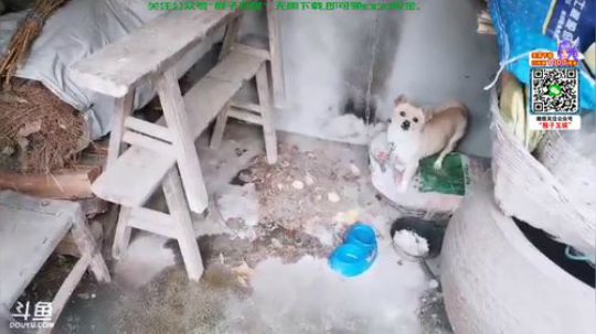 肖淑洁生命中的光和盐发布了一个斗鱼视频2020-03-09