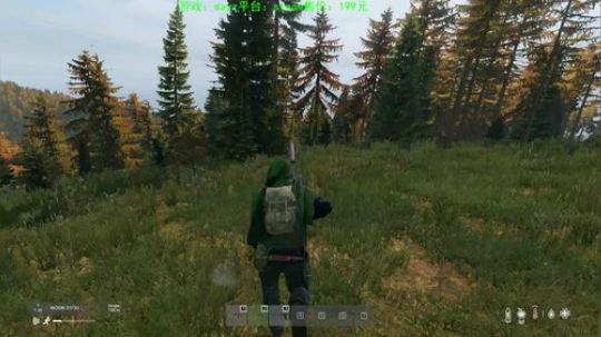 dayz(老司机的个人修养） 2020-03-08 14点场