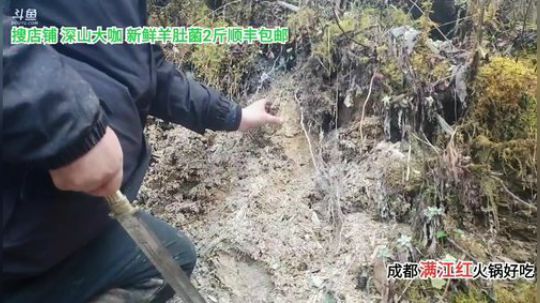 深山探索(≧ω≦)/ 2020-03-09 16点场