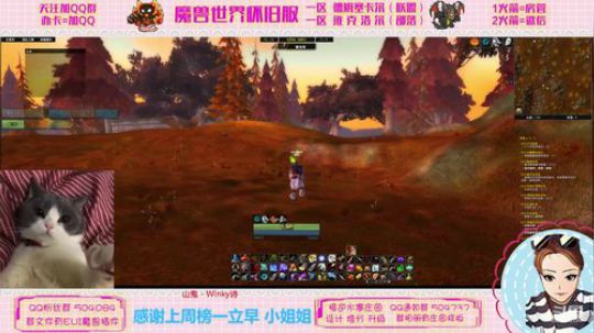 维克洛尔 今天玩部落 2020-03-03 17点场