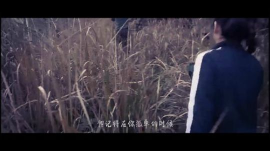 《爱的可能》