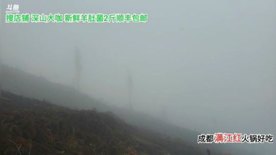 深山探索(≧ω≦)/ 2020-03-09 12点场