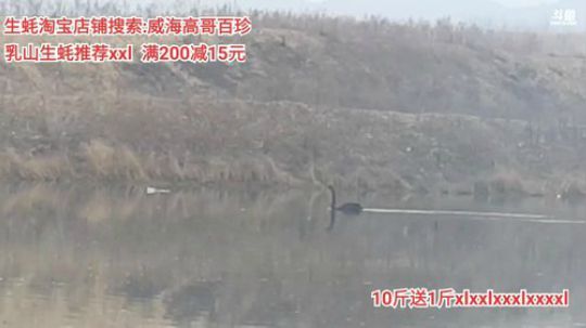 龙马精神丶老狼哥发布了一个斗鱼视频2020-03-09