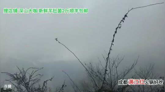 深山探索(≧ω≦)/ 2020-03-09 10点场
