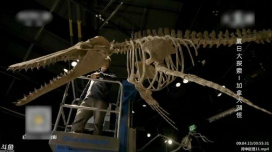 静思世语发布了一个斗鱼视频2020-03-10