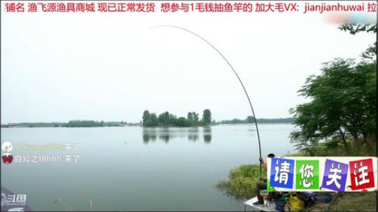 我在斗鱼看贱贱钓鱼直播乡野