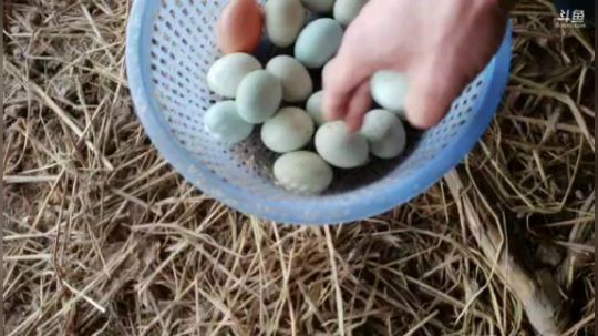 快乐的一天 337852 2020-03-09 15点场