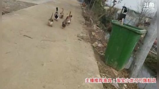 十一郎君01发布了一个斗鱼视频2020-03-10
