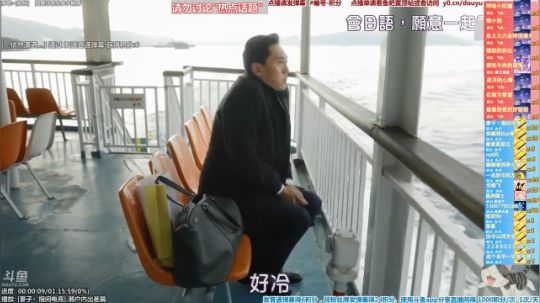我在斗鱼看懒猫是只喵直播一起看