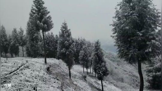 斗鱼tv深山探索频道(≧ω≦)/ 2020-03-10 09点场