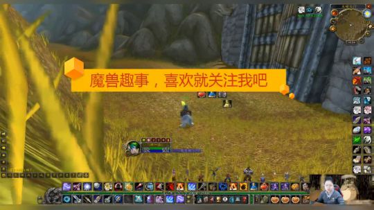 魔兽世界怀旧服：小伙在湿地承包了所有红龙，上演拉怪大戏了