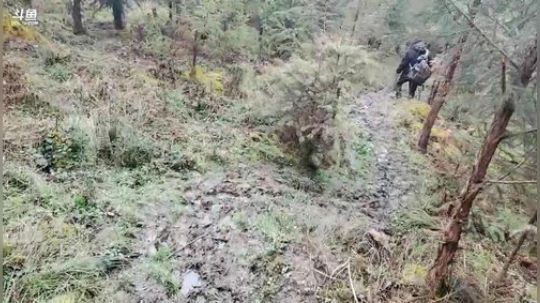 斗鱼tv深山探索频道(≧ω≦)/ 2020-03-10 14点场